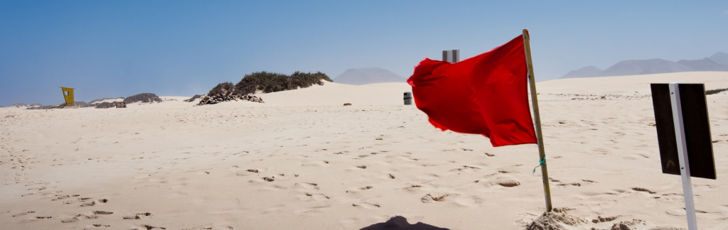 red flag on a beach